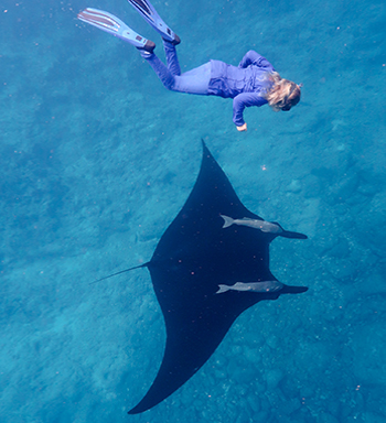 Snorkeling from boat in Baja