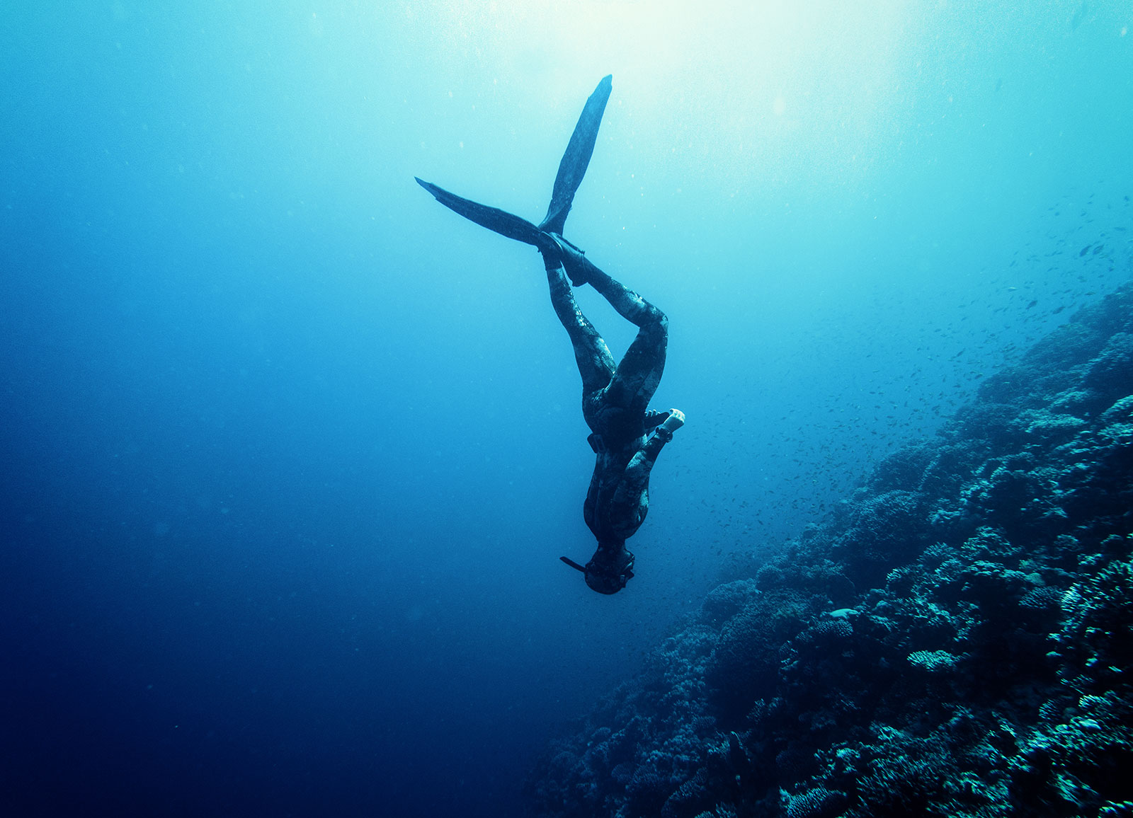 Freediving