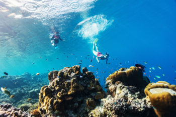 snorkel with us in baja california sur mexico