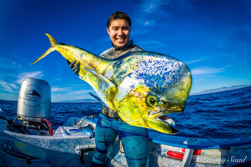 Blue Water World Cup gallery image