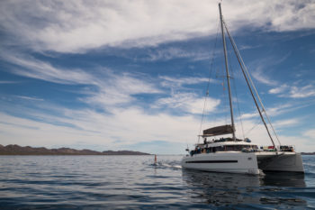 catamaran charter sea of cortez