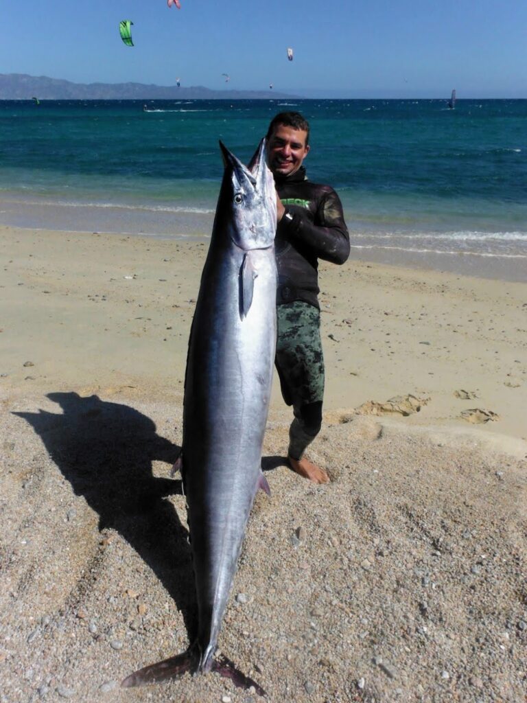 wahoo spearfishing in Baja