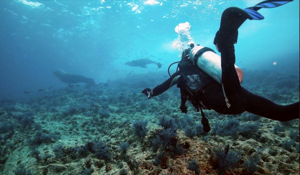 Scuba diving