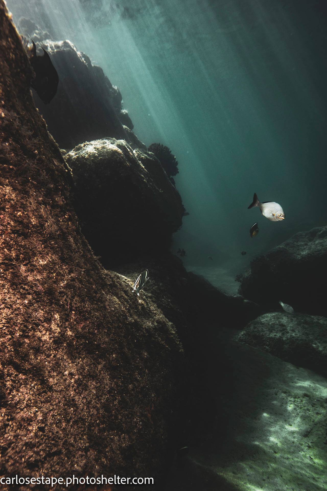 scuba diving sea of cortez with palapas ventana