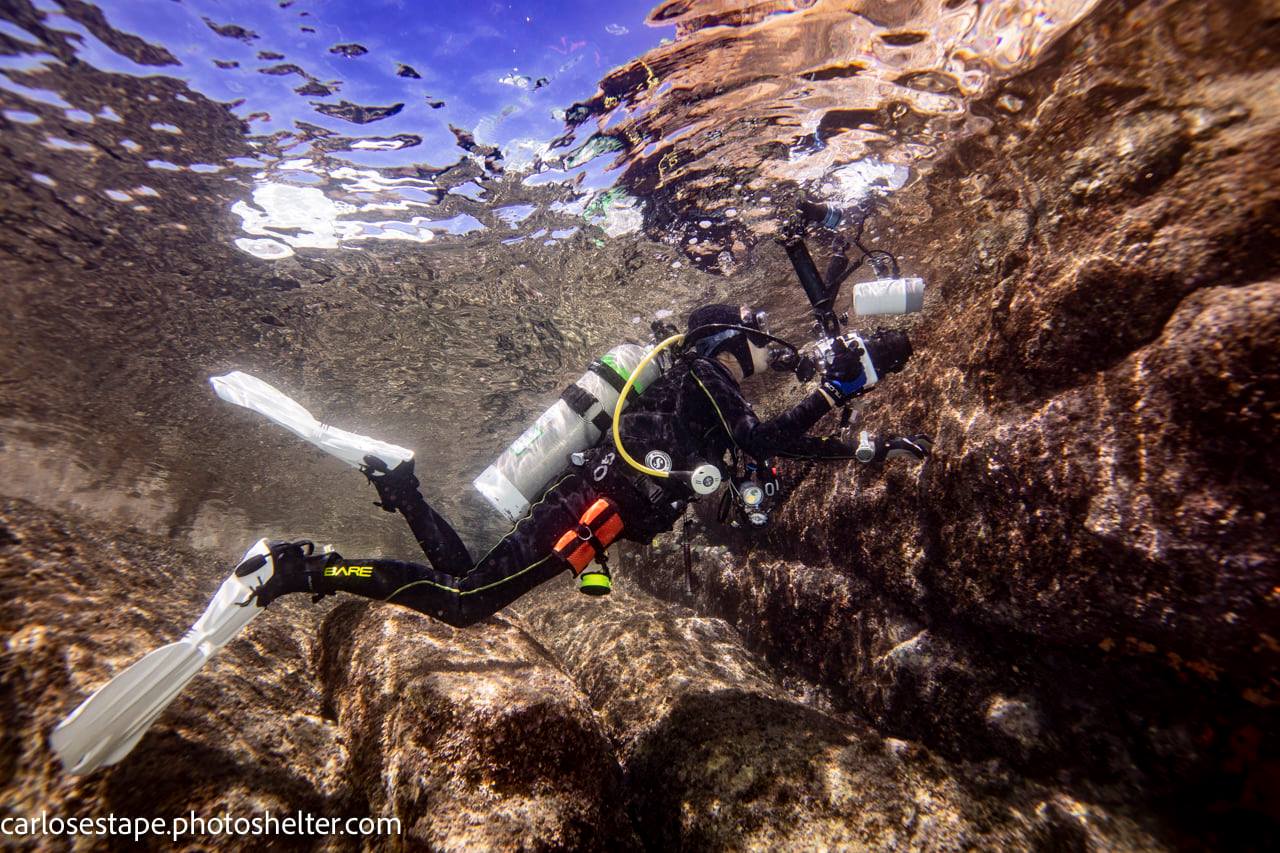 scuba diving sea of cortez with palapas ventana