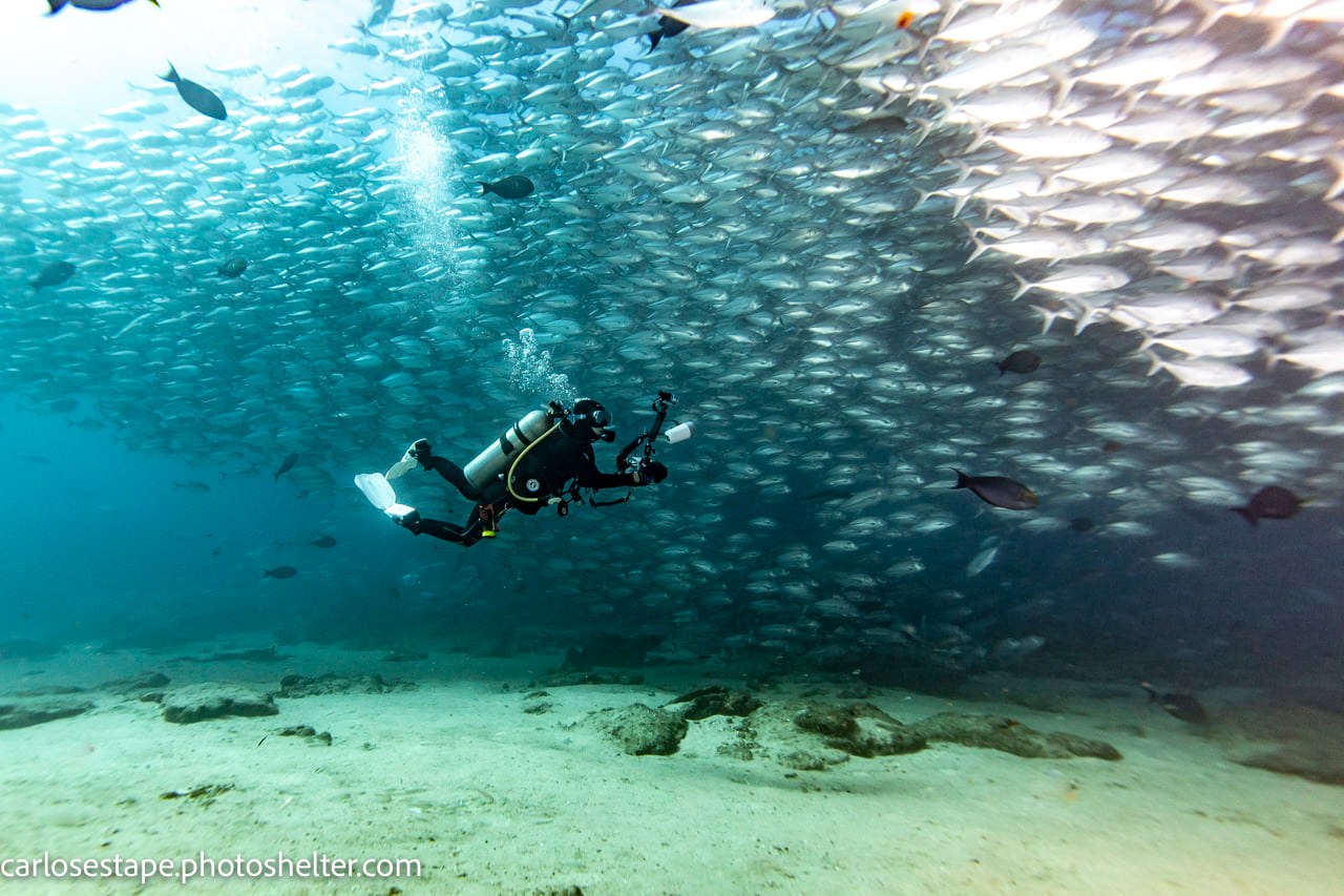 Underwater adventure at Palapas Ventana