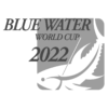 Blue Water World Cup 2022 logo