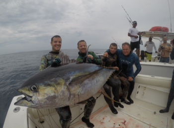 group spearfishing trip tuna in panama