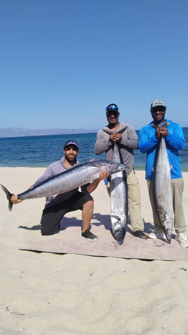 Tuna catch at Palapas Ventana