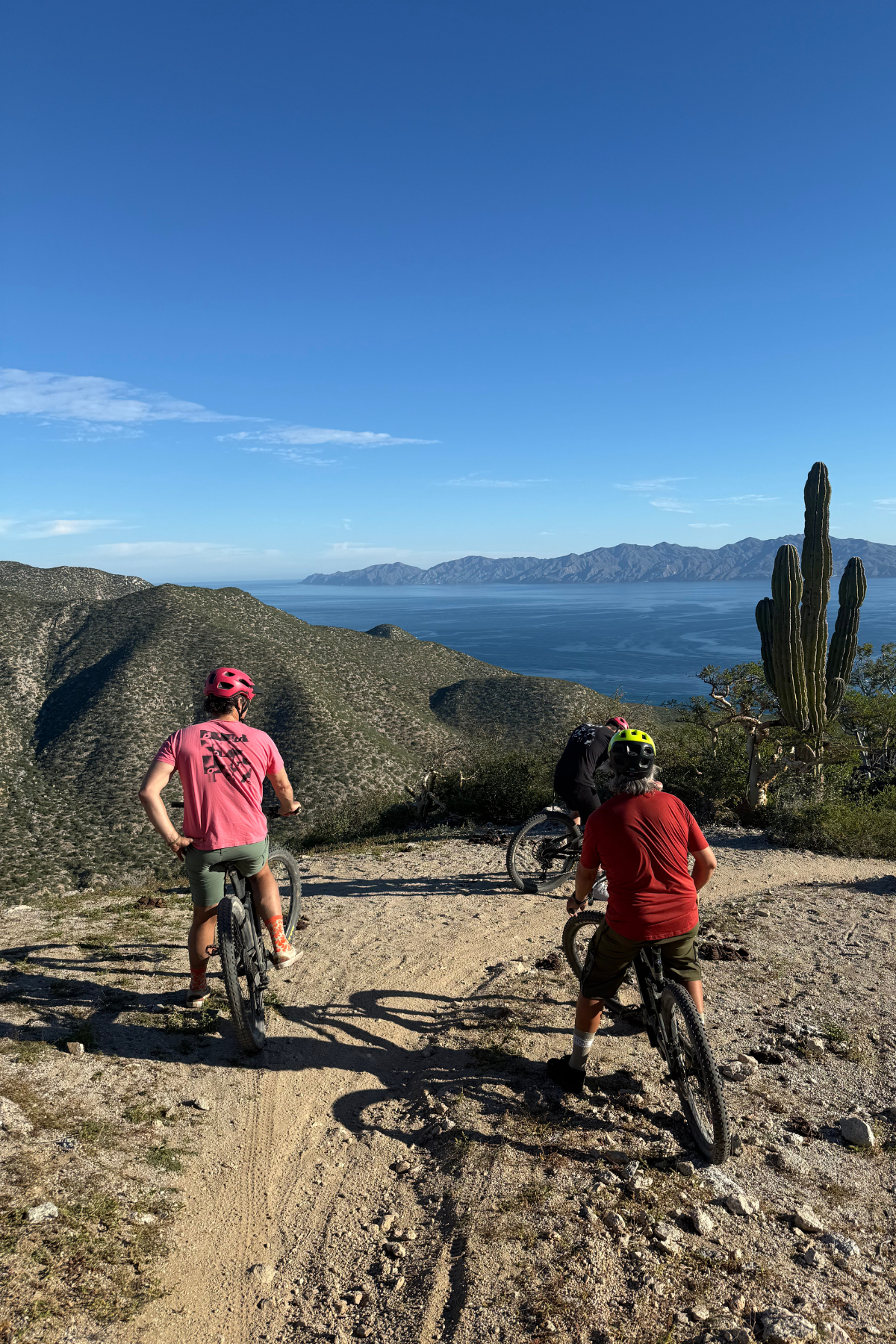 Magnificent Mag Bay: 8 Fly Fishing Days of the Rest of Your Life