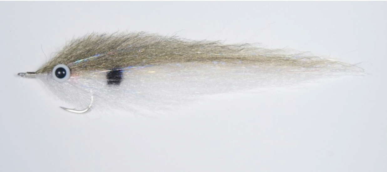 EP Fiber sardina fly for Sea of Cortez fishing
