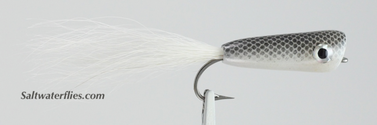 Saltwater popper for floating line setup