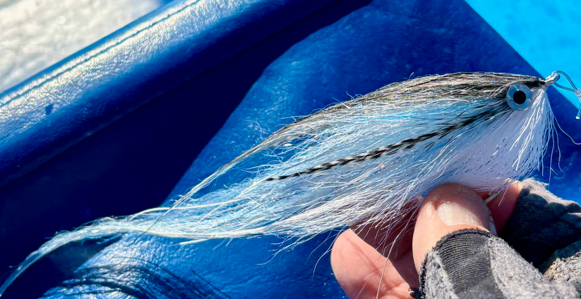 Additional successful Mag Bay striped marlin fly