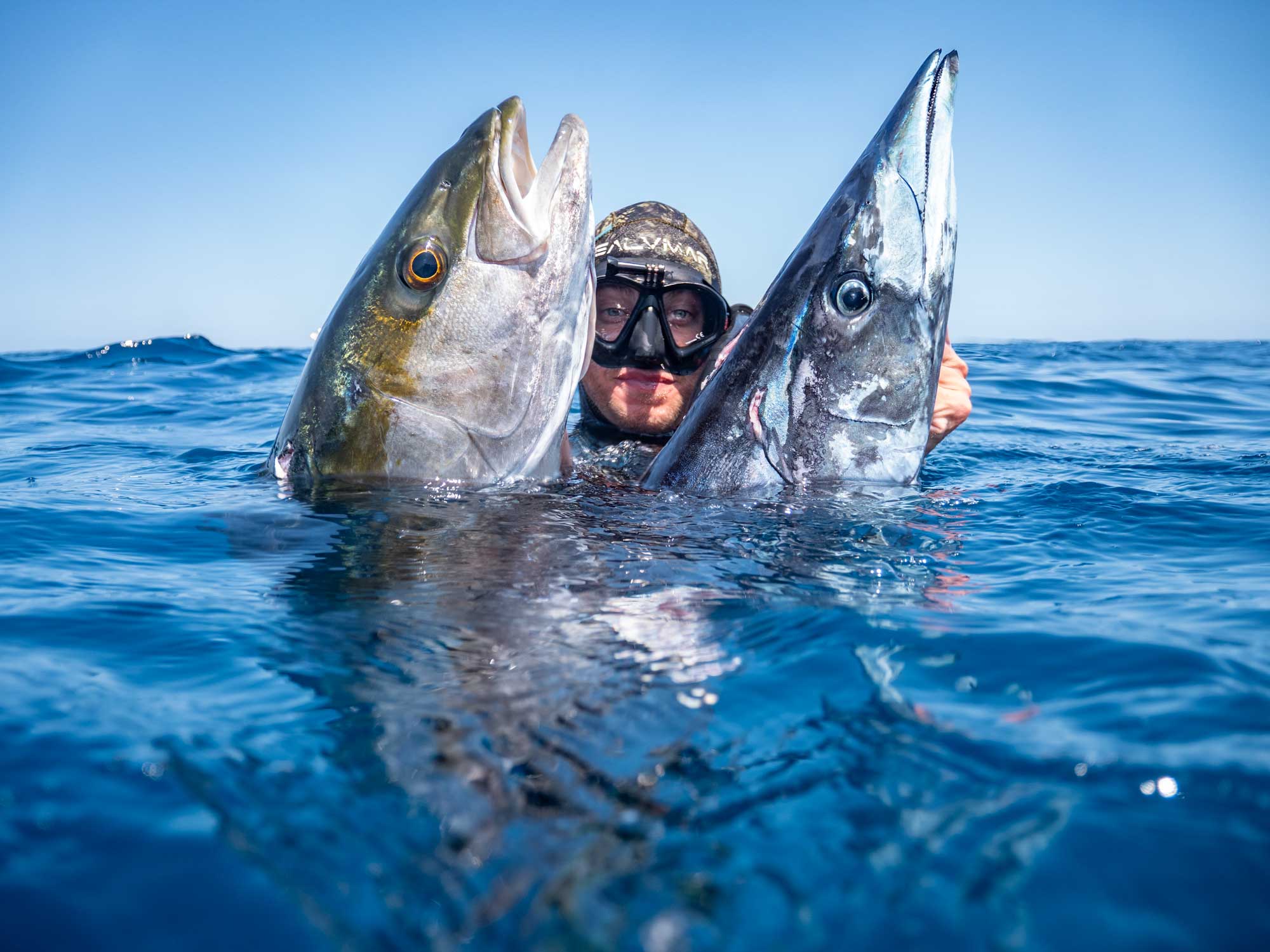 Spearfishing