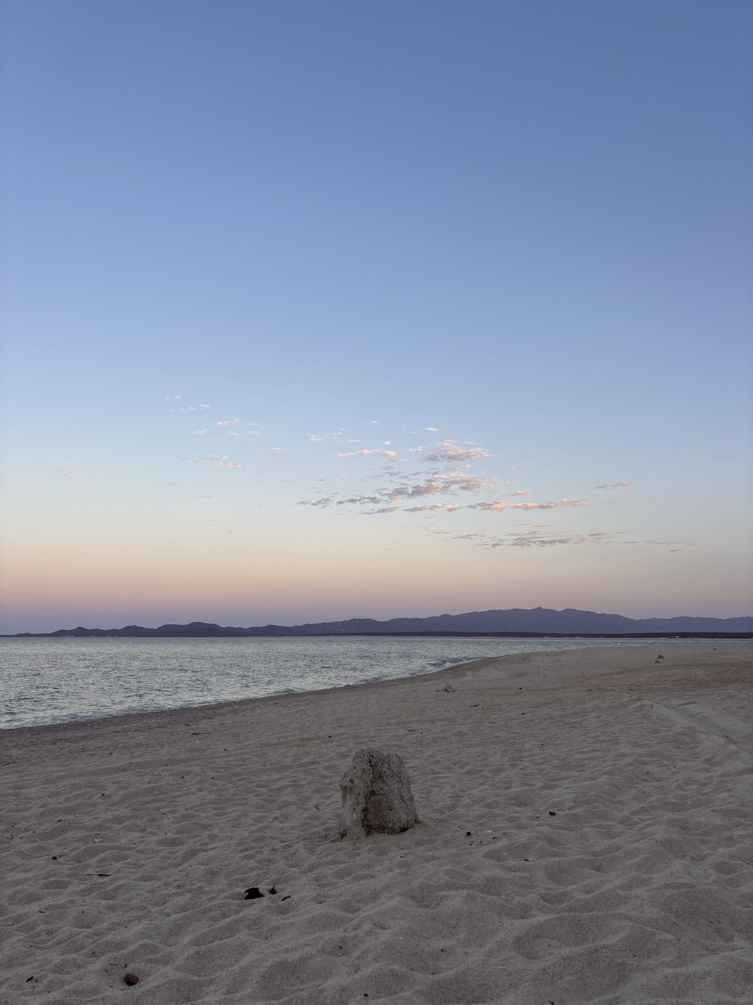 Flying Above the Sea of Cortez: Catamaran eFoiling Adventures in Baja California Sur