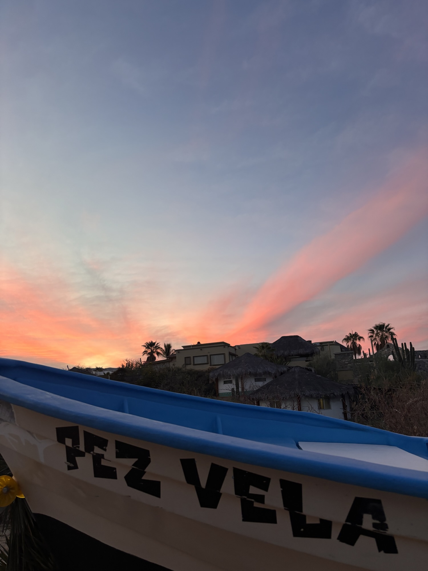 Spearfishing With Purpose