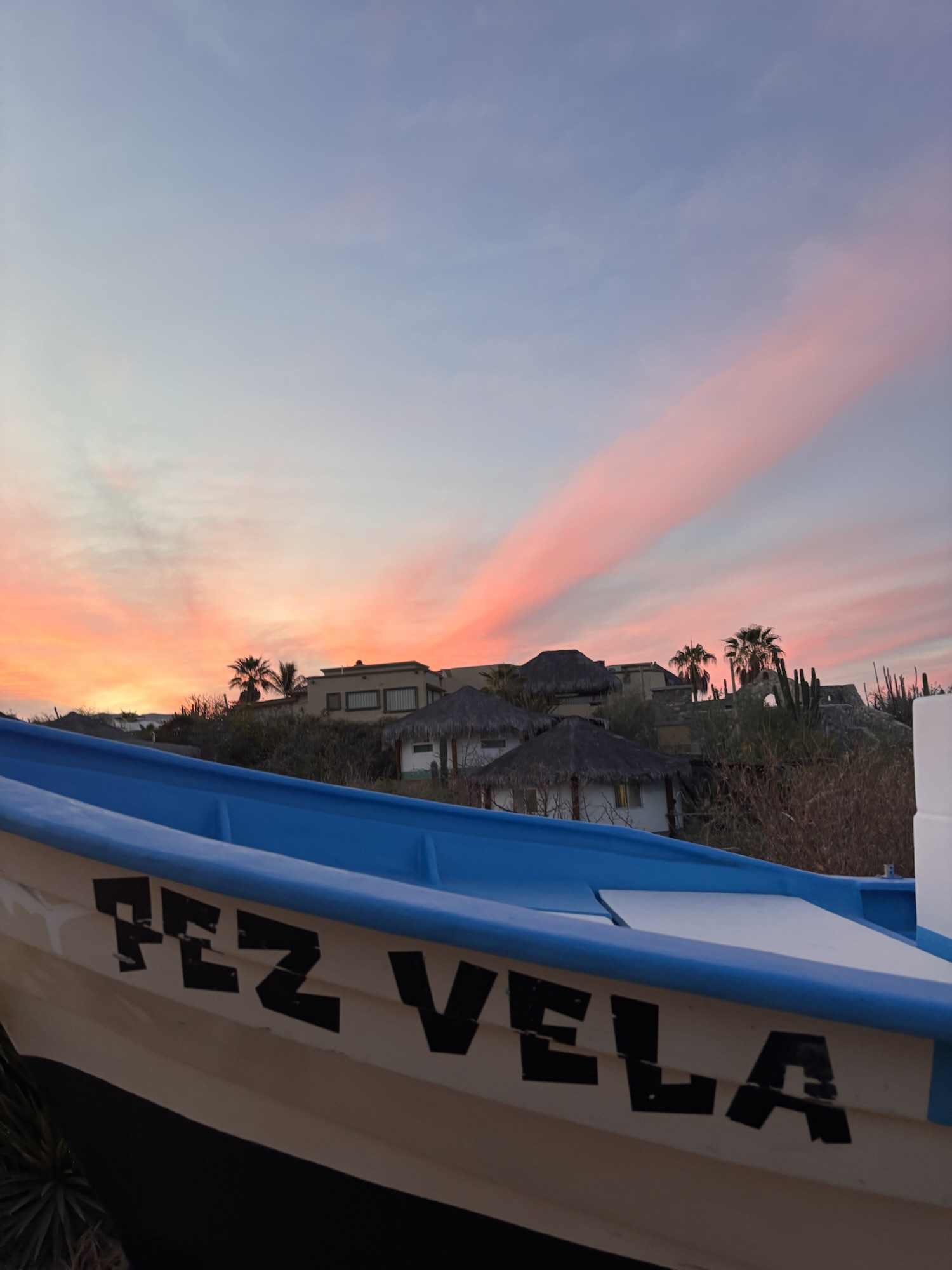 Palapas Ventana spearfishing event in the Sea of Cortez