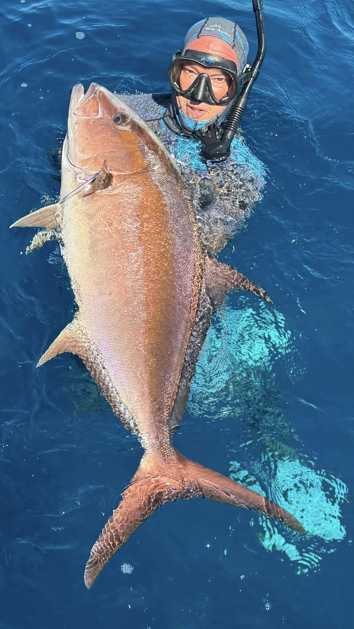 Sea of Cortez fish