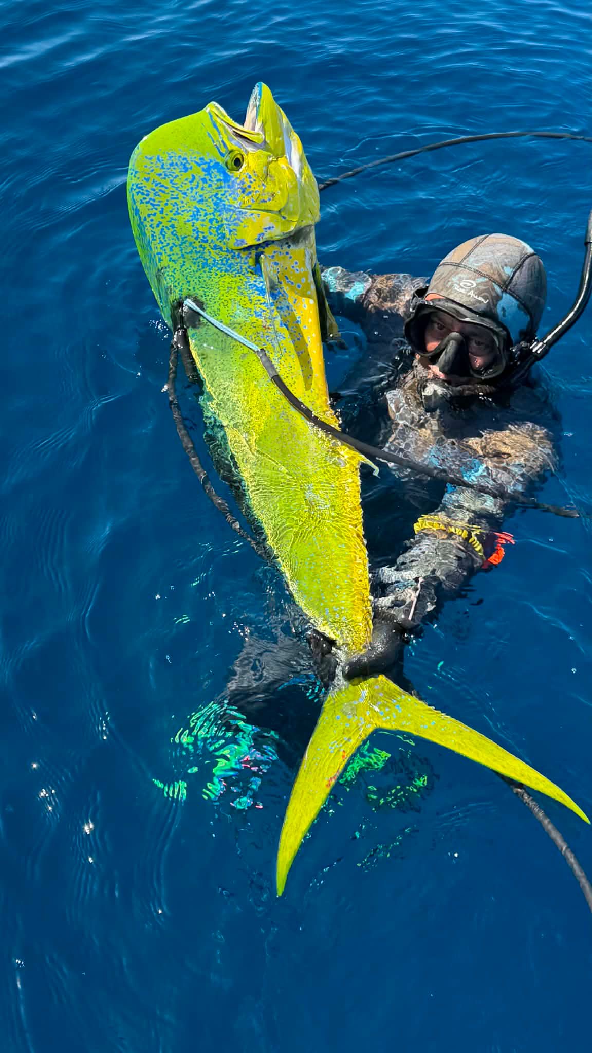 Baja fishing and spearfishing