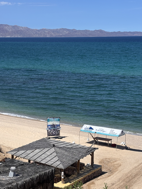 Family Baja adventure