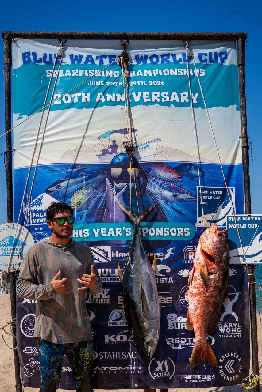 Blue Water World Cup Palapas Ventana