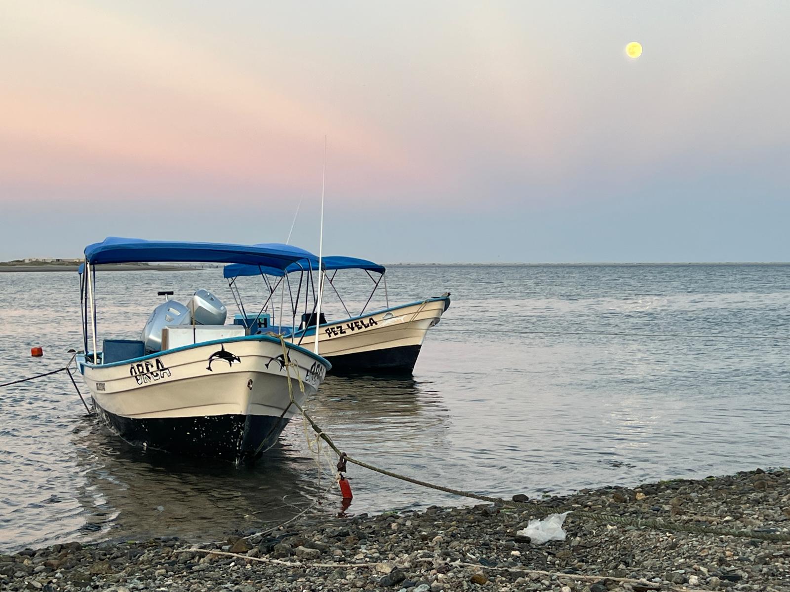Magdalena Bay boats and captains