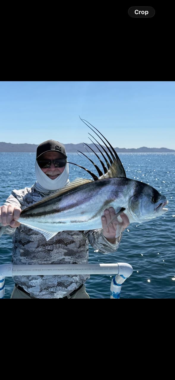 Fishing from tender