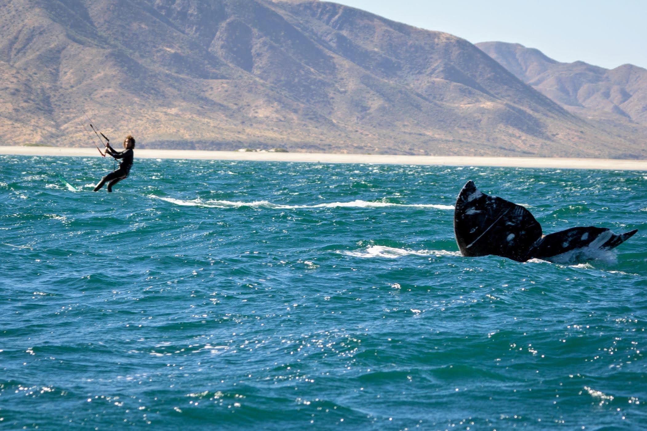 Wing foiling