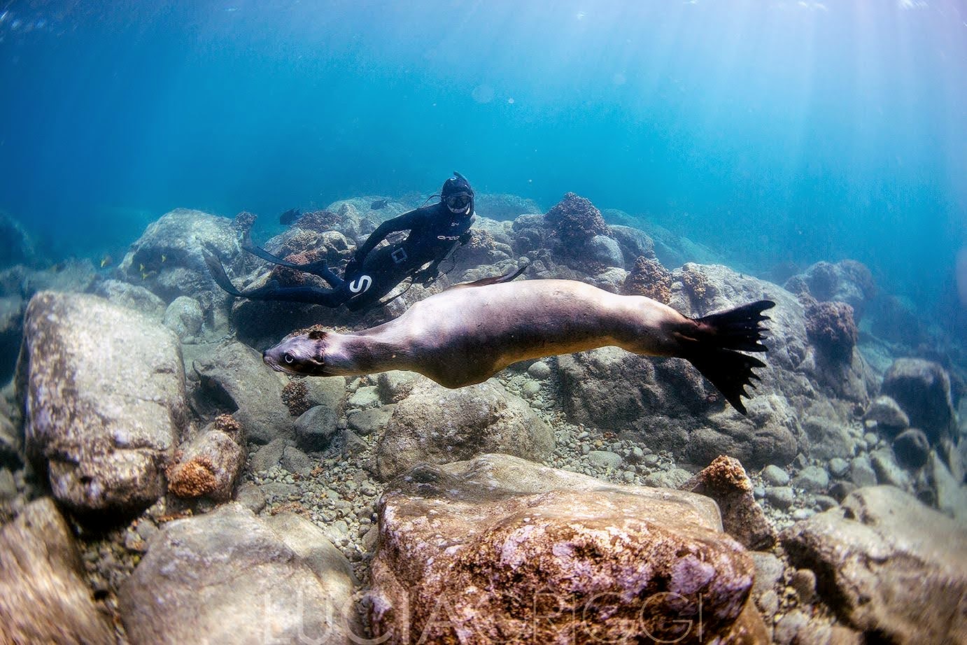 Snorkeling at Isla Cerralvo