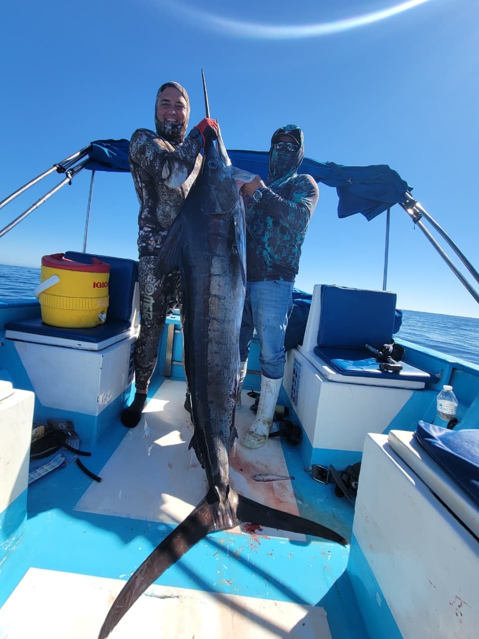 Roosterfish catch with Palapas Ventana