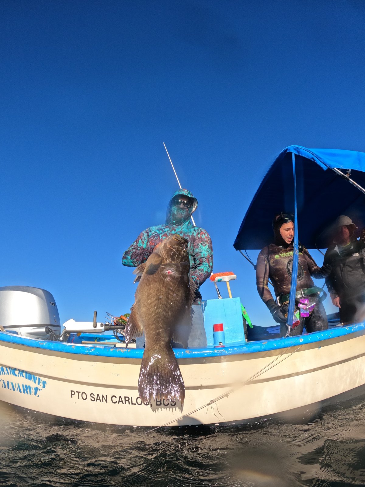 Yellowtail catch on the Sea of Cortez