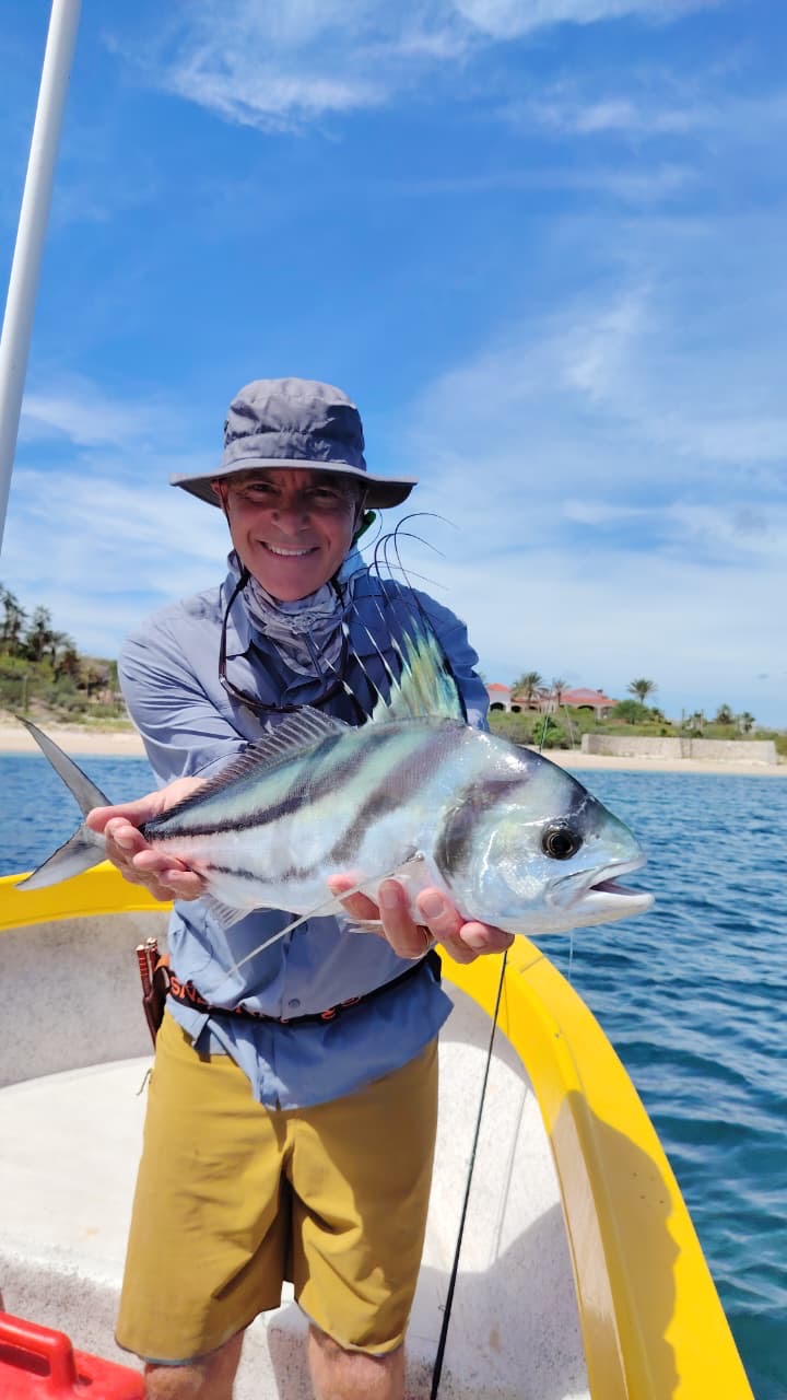 Roosterfish
