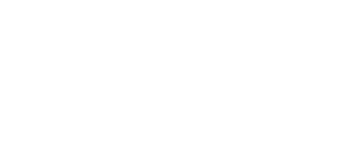 WildDive