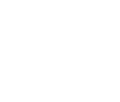 WinterWonderGrass